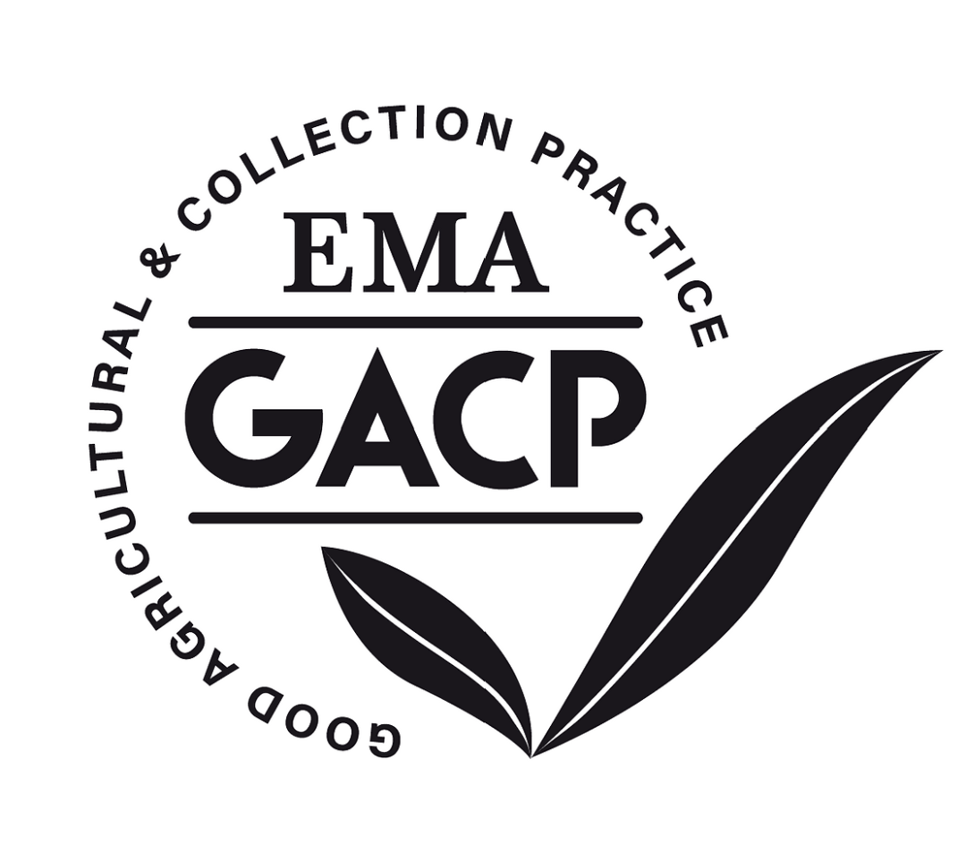 GACP Logo
