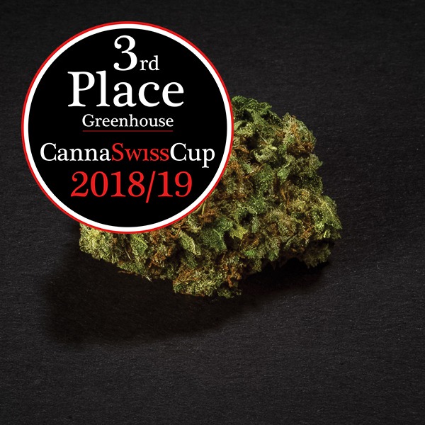 CannaSwissCup Award Greenhouse 2018