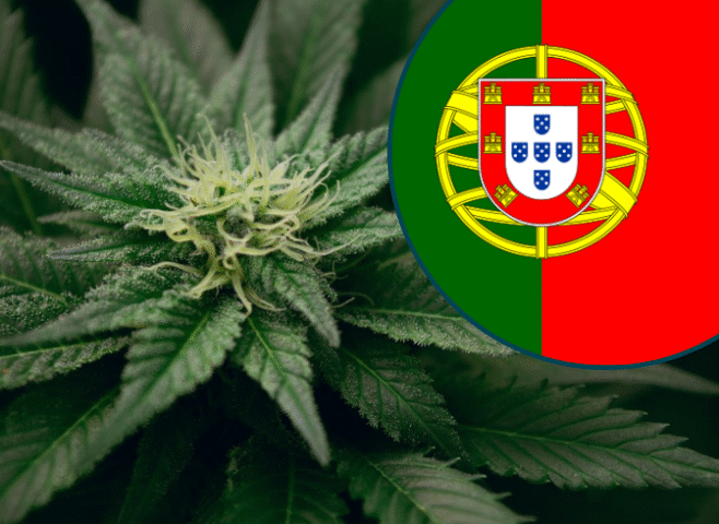 Cannabis in Portugal